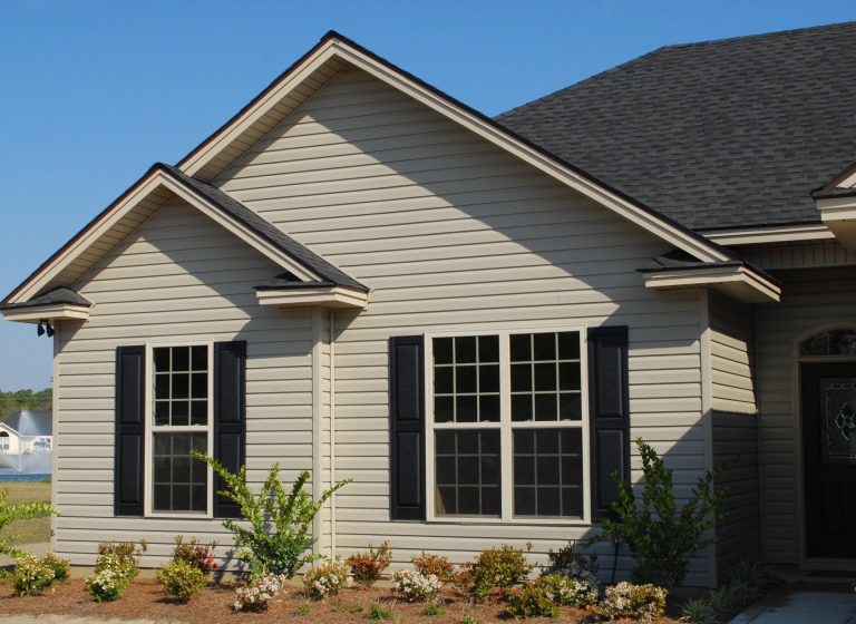 Double-hung vinyl window with 20/20 gnat-resistant screen installed in a southeast Georgia residence.