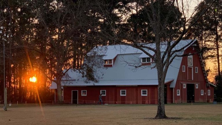 Metal roof installed on a Wayne County home near the Altamaha River corridor in Jesup Georgia